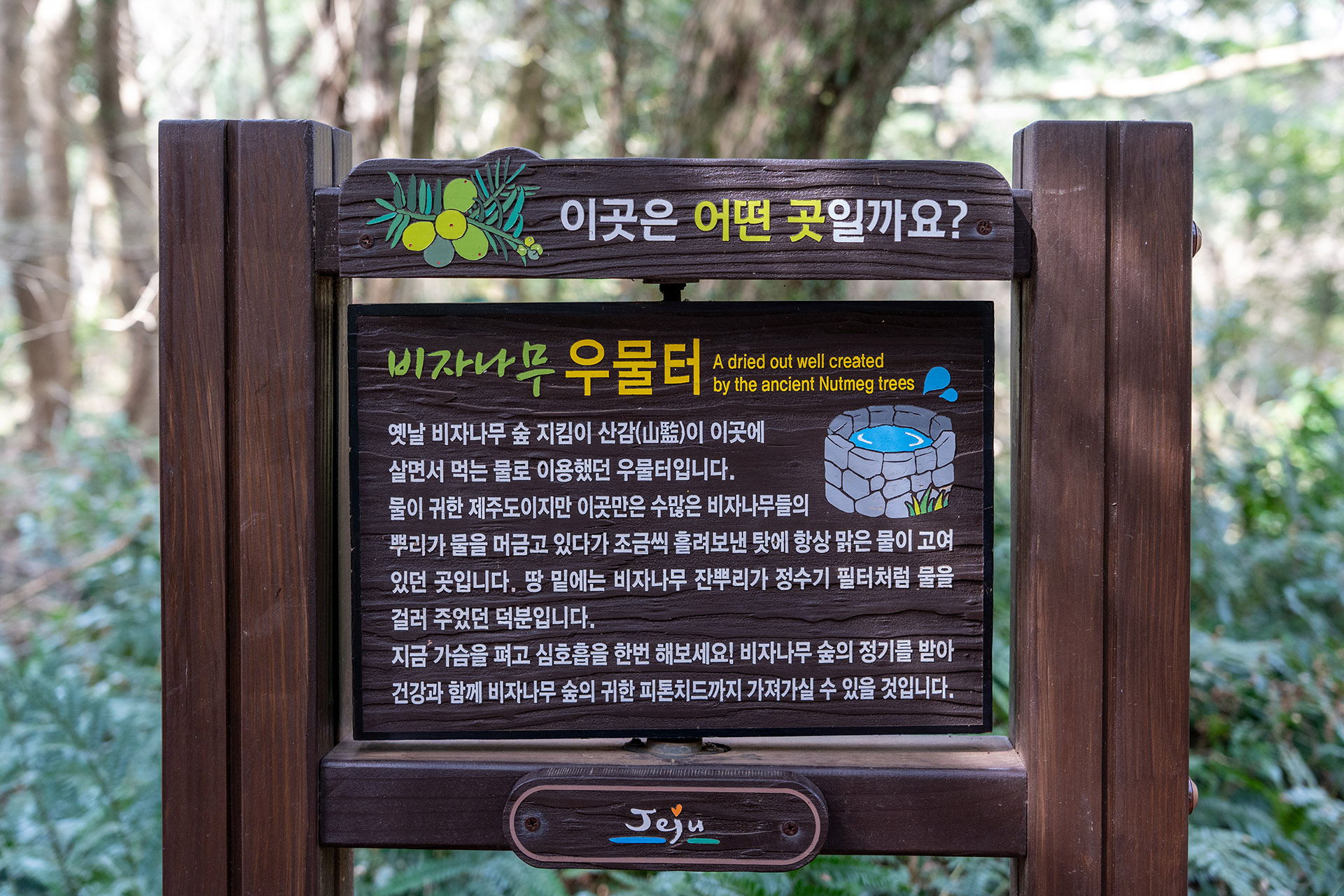 비자나무 우물터