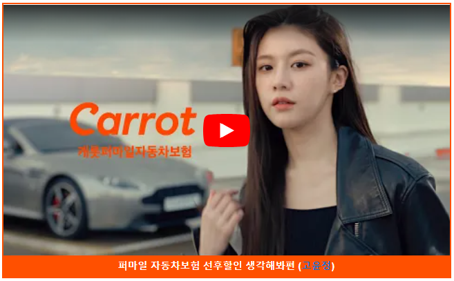 퍼마일 자동차보험 동영상