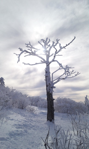 해돋이