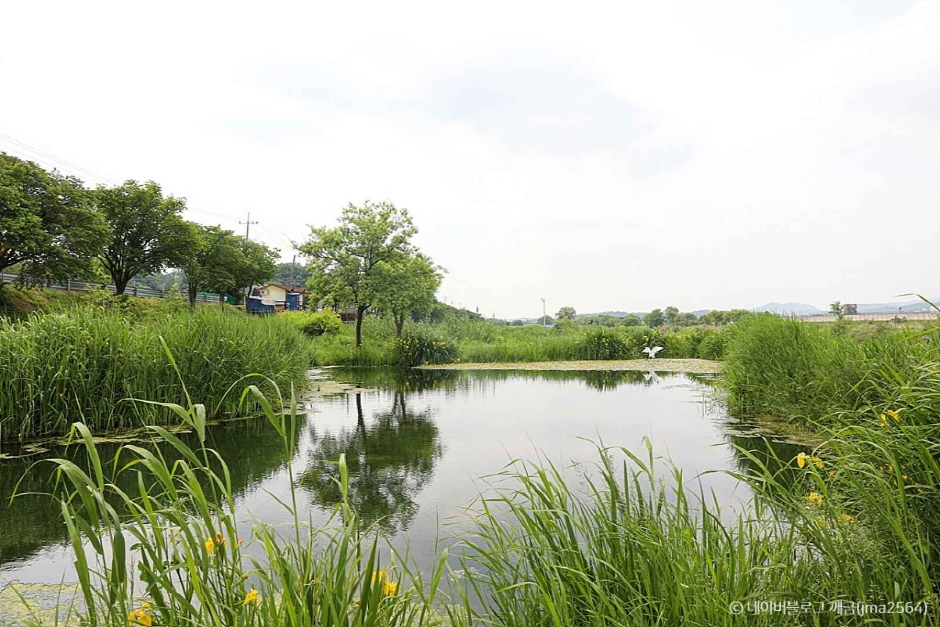 성남 가볼만한곳 베스트10