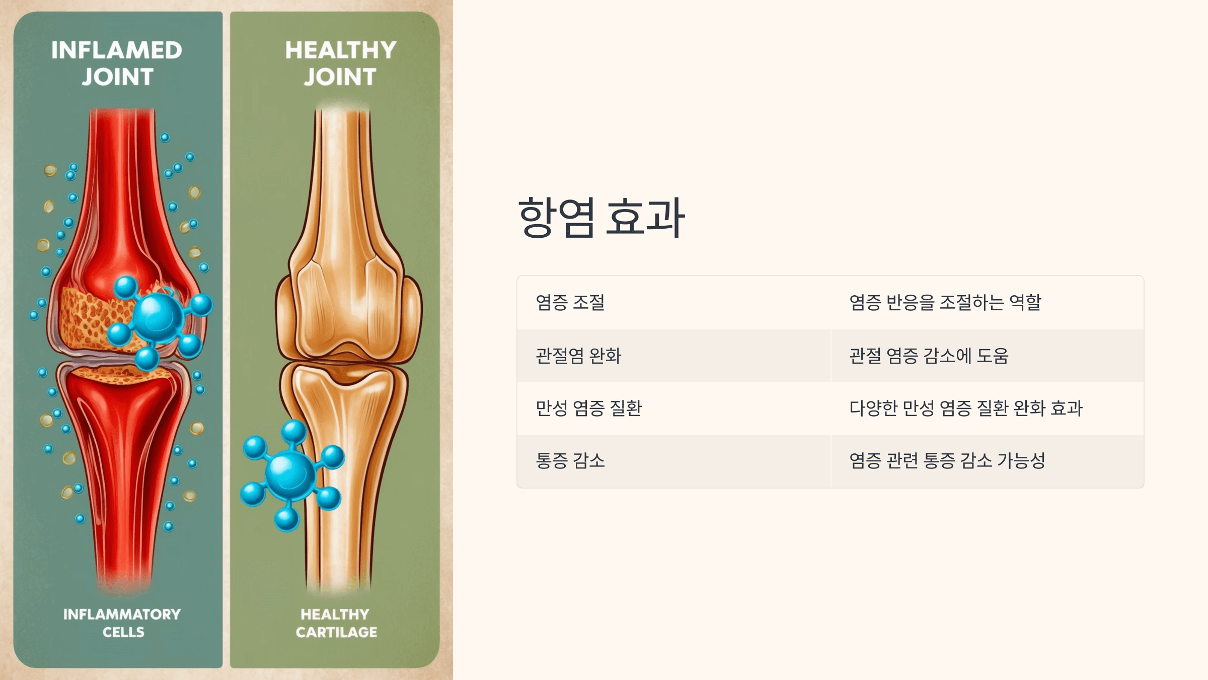 멜라토닌과 관련된 사진입니다.