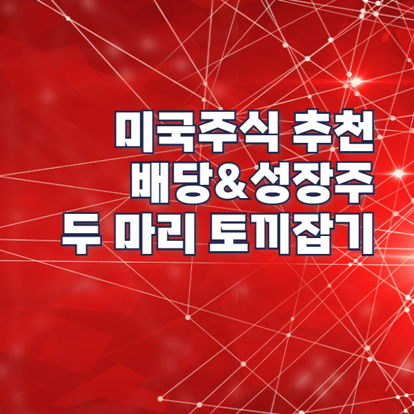 미국주식 배당주 성장주 배당주 종목 추천 브로드컴 생성형 AI