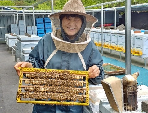 생생정보 나나랜드 경북 영천 꿀벌 부부 실버 로얄제리 산골 양봉원 주문방법