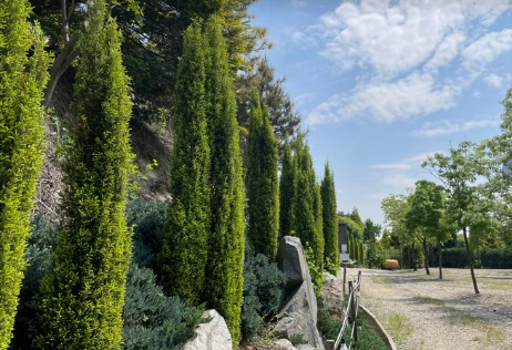 파이브이모션 캠핑장 C존