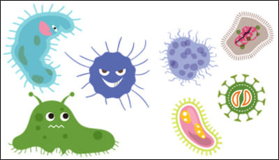 유해균 일러스트