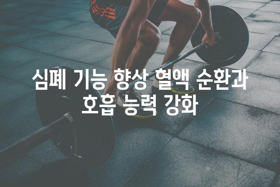심폐 기능 향상 혈액 순환과 호흡 능력 강화