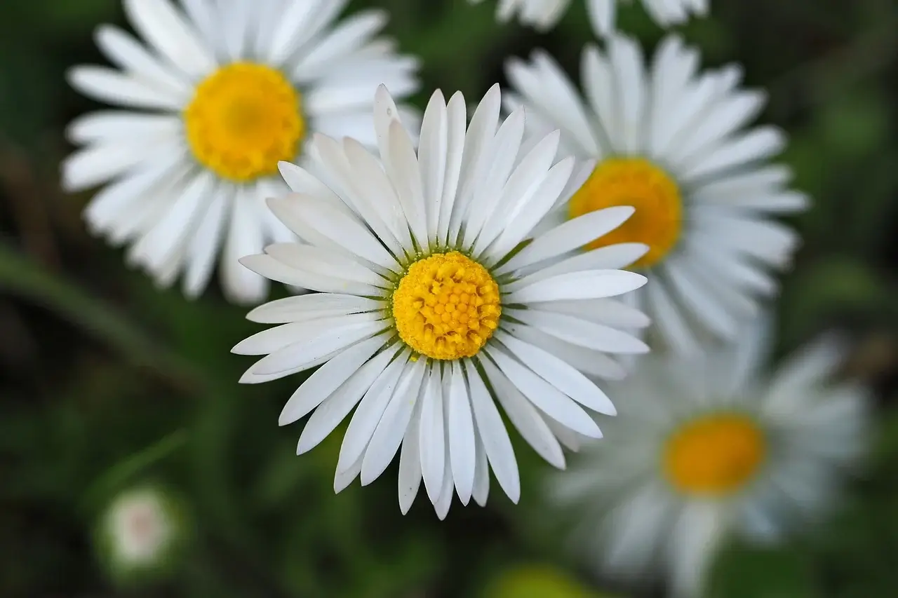 4050 재취업&middot;비전공&middot;전직 준비