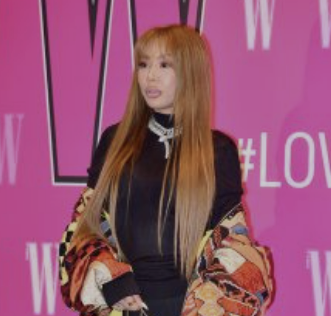 가수 제시 폭행