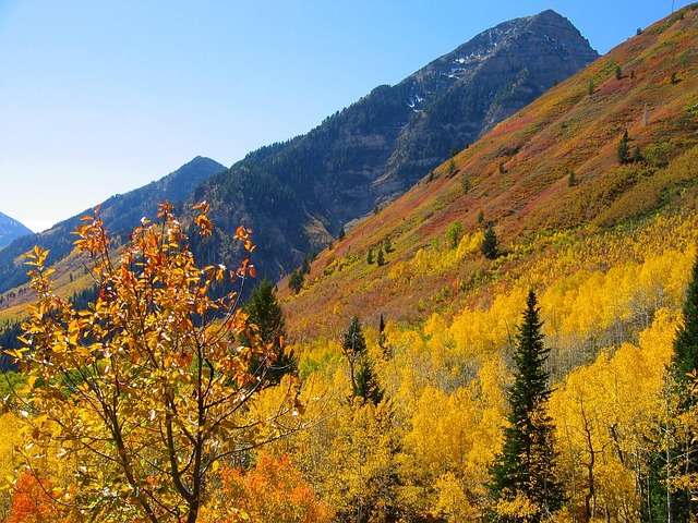 2025년 10월 과천에서 가족&amp;#44; 연인&amp;#44; 친구&amp;#44; 아이들과 함께 반드시 가봐야 할 밤줍기 행사