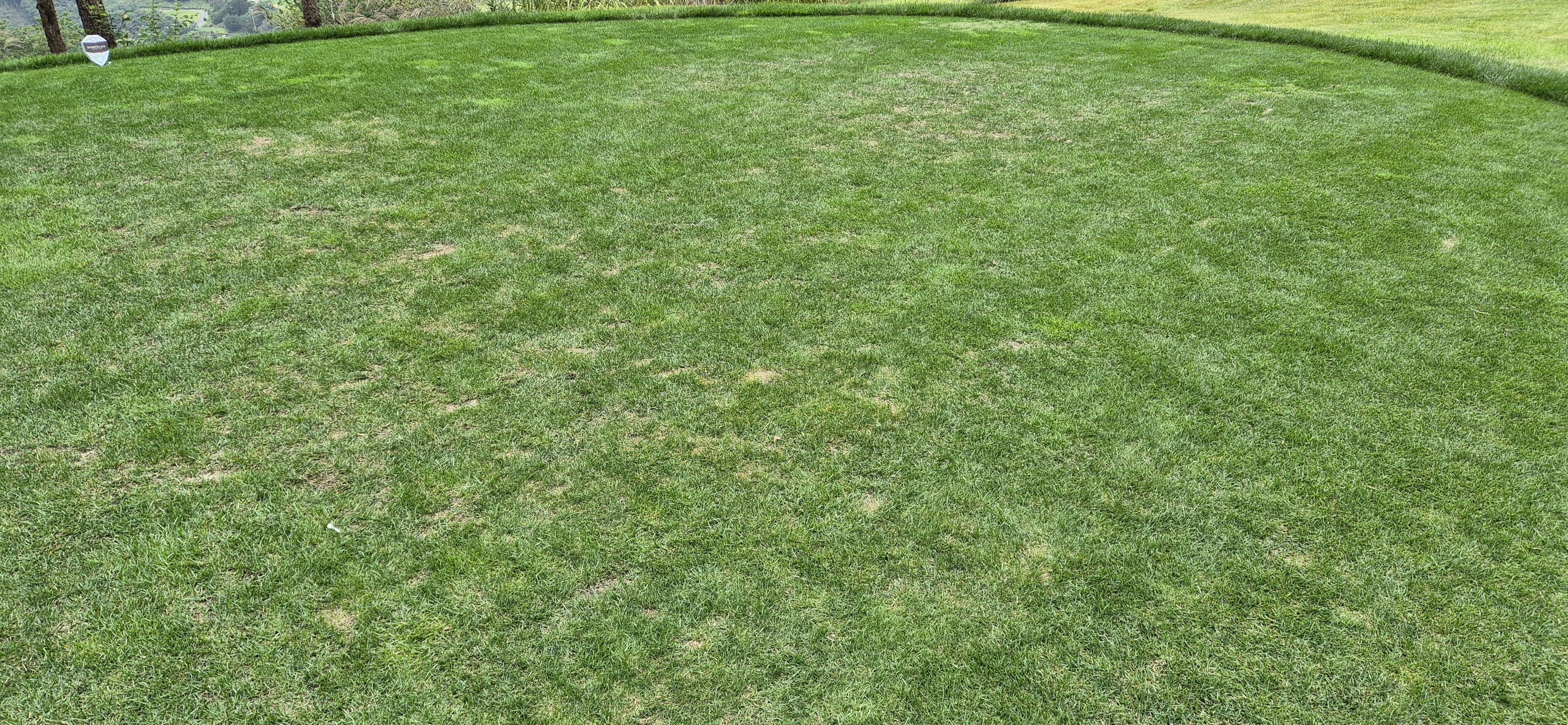 소노팰리체cc이스트