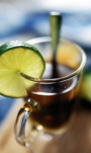 반려동물 자격증 창업 취업