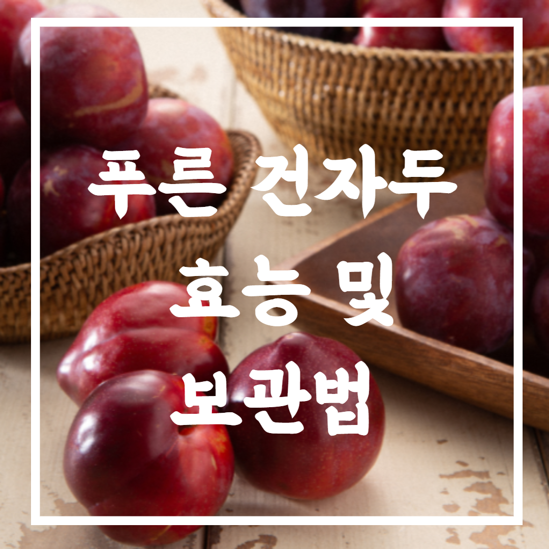 푸른 건자두 효능