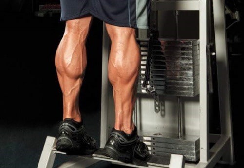 종아리 근육의 모습