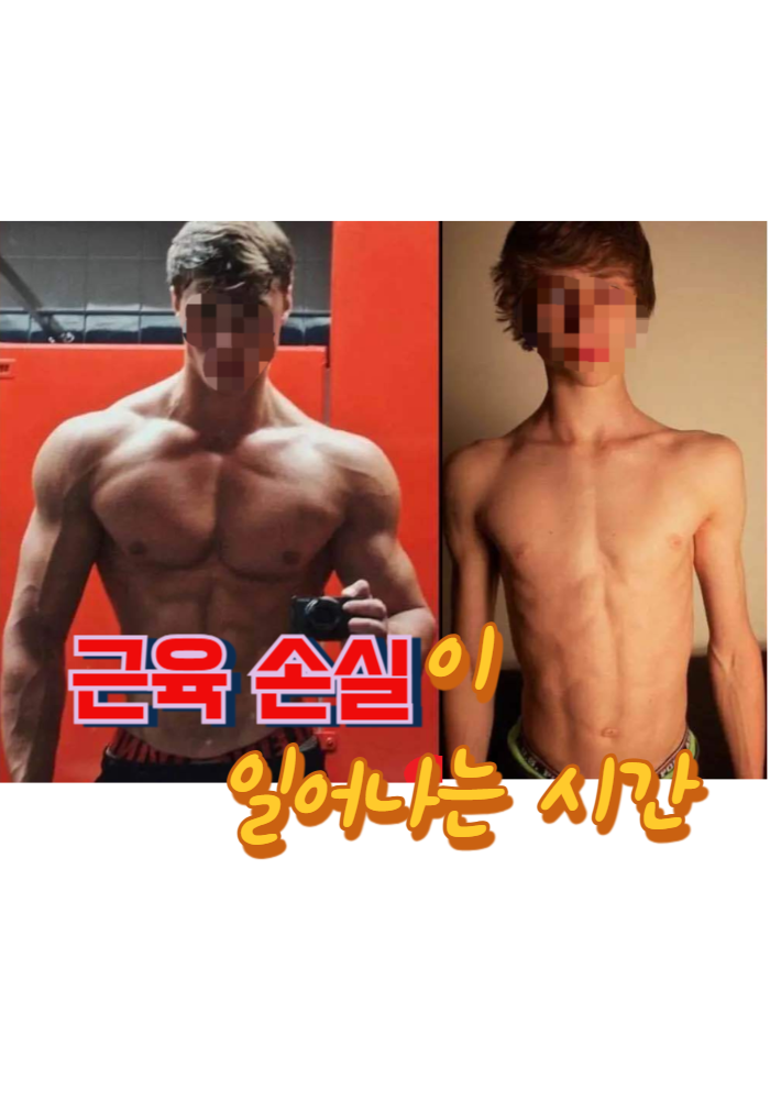 1.근육 손실이 일어나는 시간