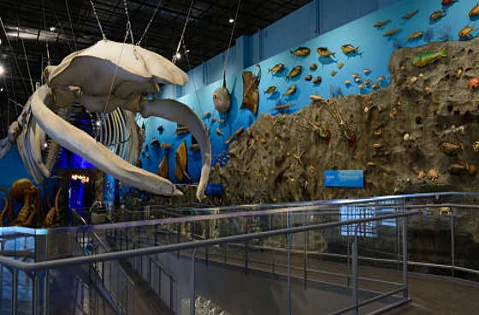 땅끝해양자연사박물관