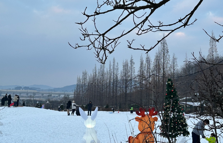 피나클랜드 수목원