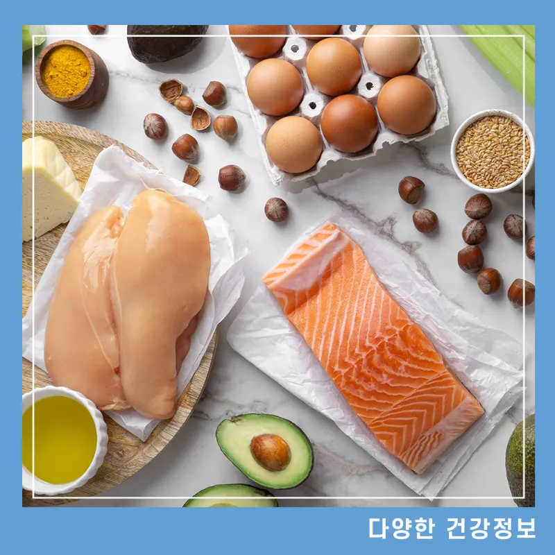 단백질-많은-음식