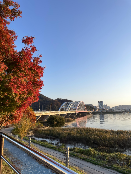가을 단풍 명소