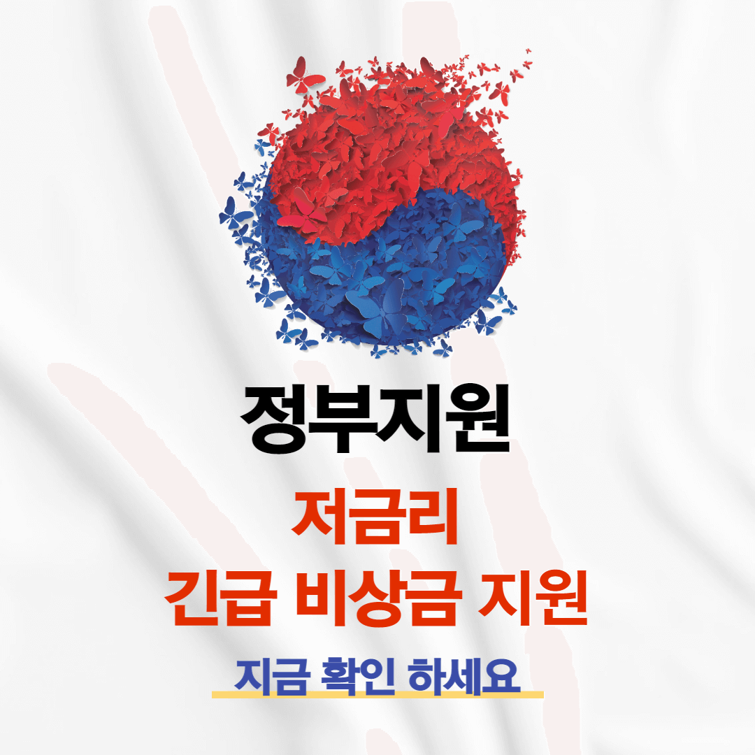 정부 비상금대출