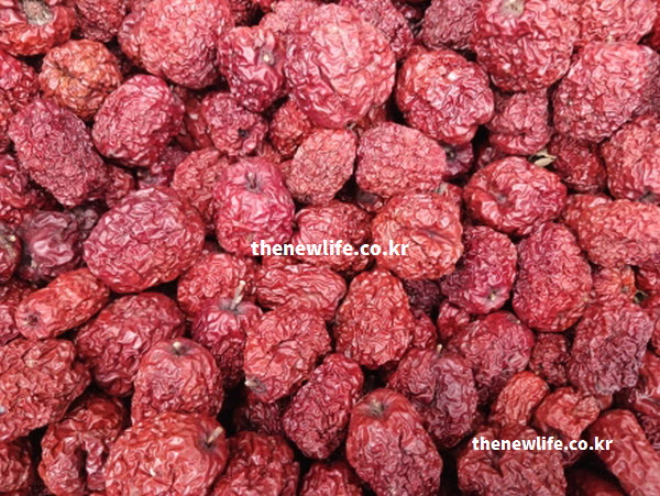 대추 효능의 신경 안정 성분인 갈락토오스와 맥아당이 풍부한 대추 실물 사진으로 심신 안정 효과를 설명하는 이미지