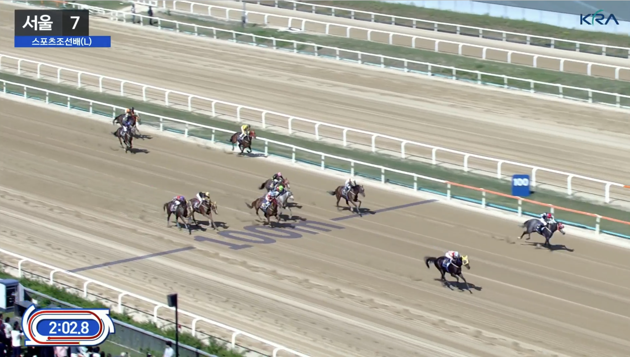 용암세상 나이스태양 스포츠조선배 대상경주