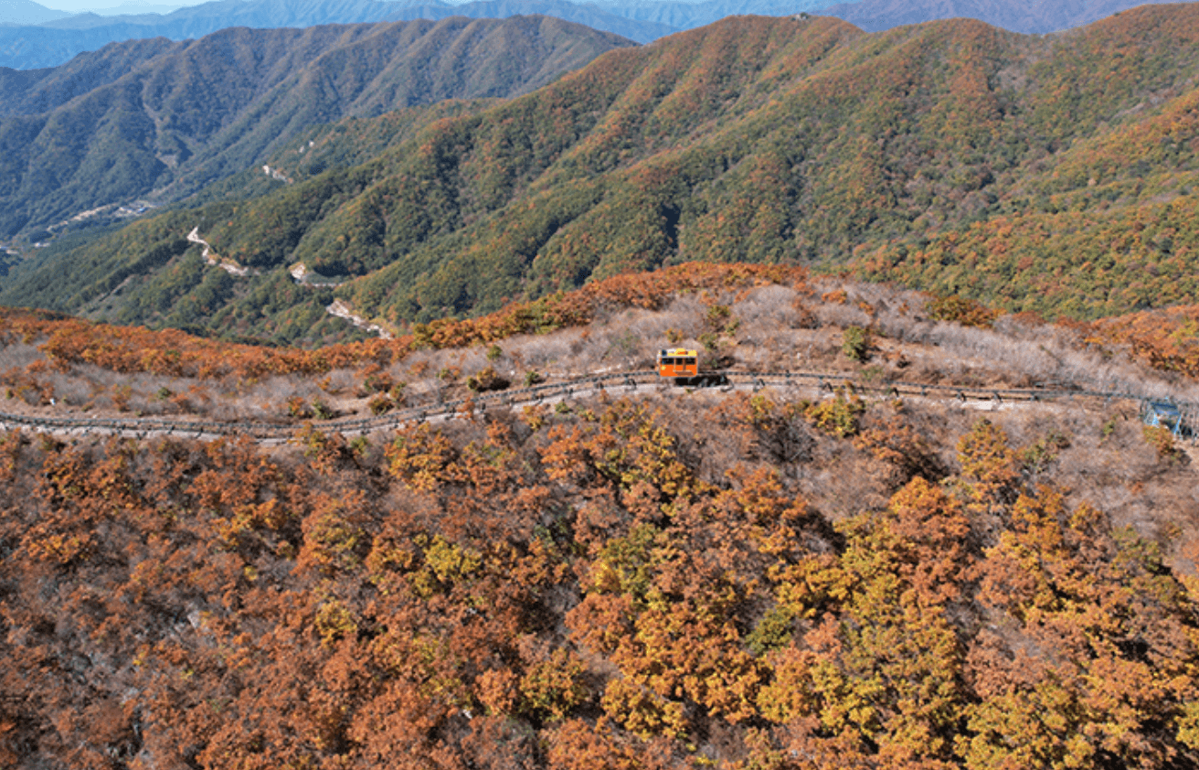 함영 대봉산 모노레일 가격정보