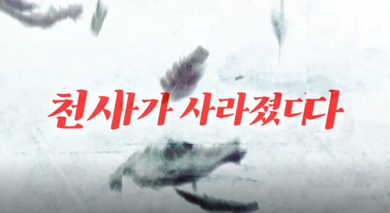 꼬꼬무 다시보기 재방송