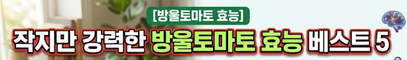 방울토마토의 효능