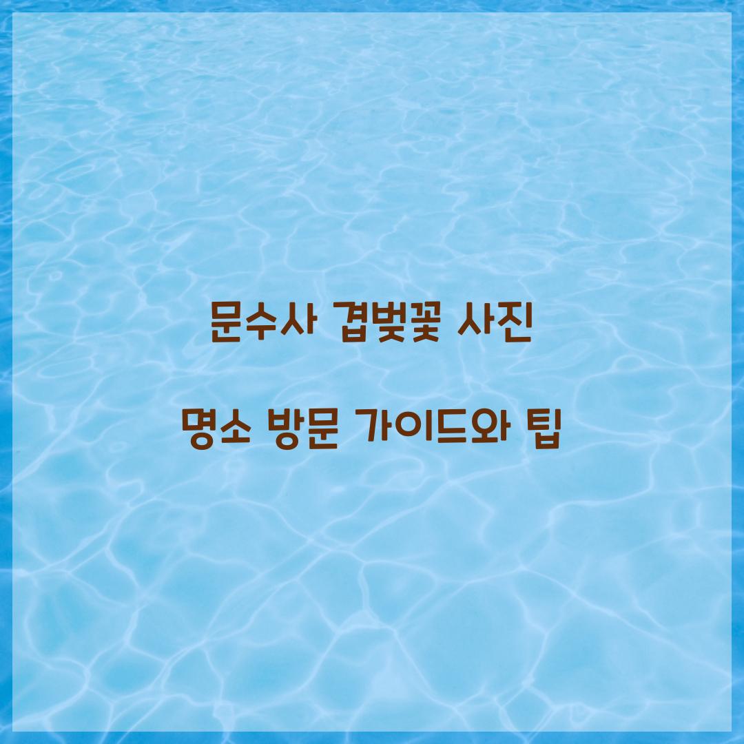 문수사 겹벚꽃 사진 명소