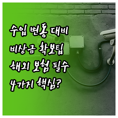 노마드 수입 변동성 대비 비상금과 국..