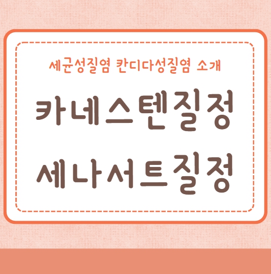 카네스텐질정 세나서트질정 추천