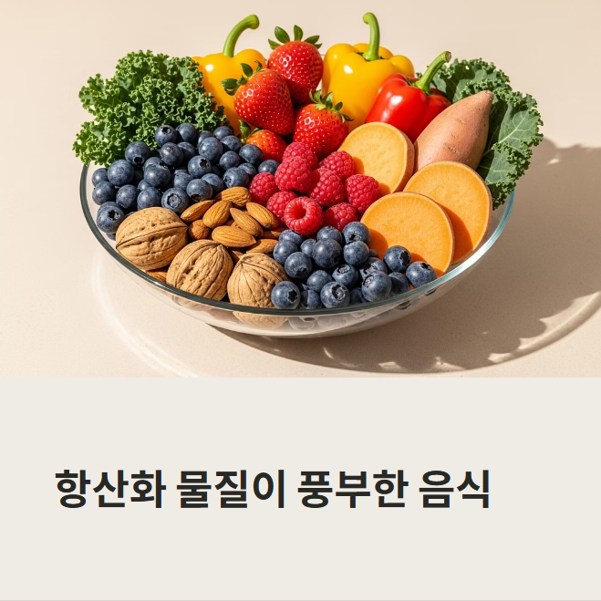 항산화 물질이 많은 음식