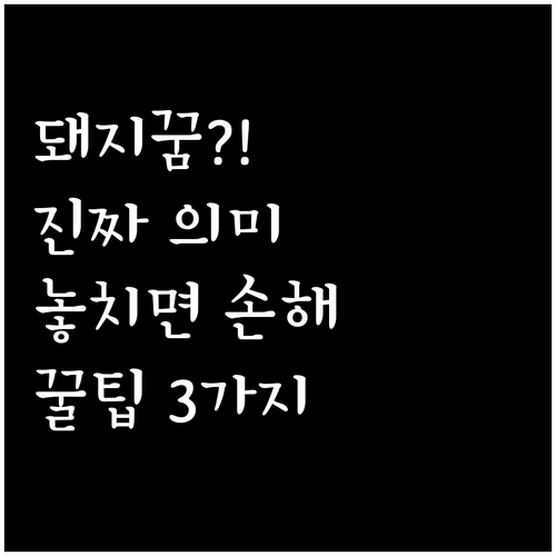 돼지 꿈 자주 묻는 질문과 해석 팁..