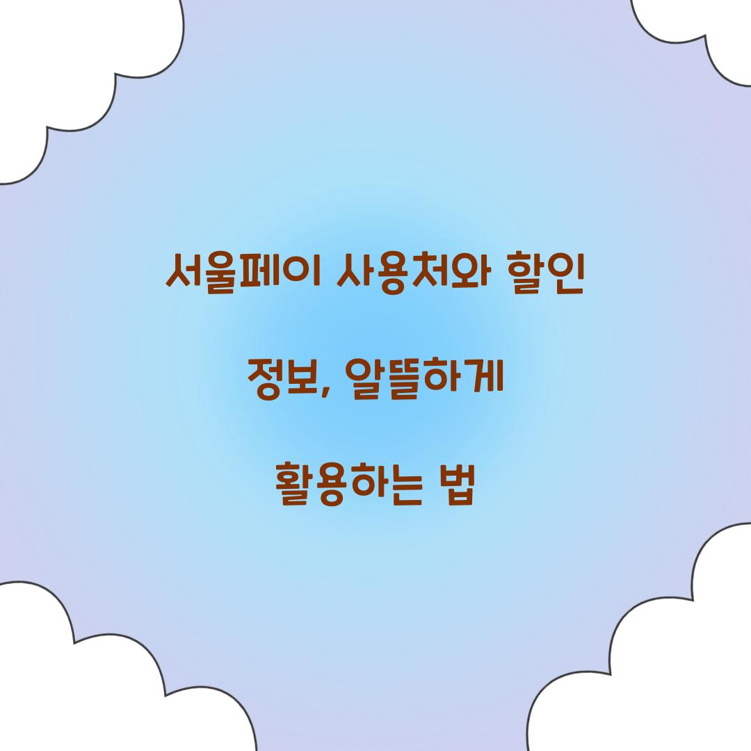 서울페이 사용처