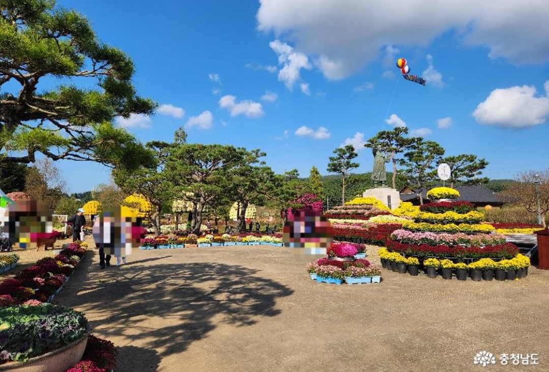 태안 국화축제