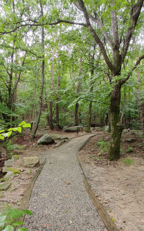F구역으로 올라가는 오르막 각도가 높진 않으나 짐을 옮기긴 힘들었다.