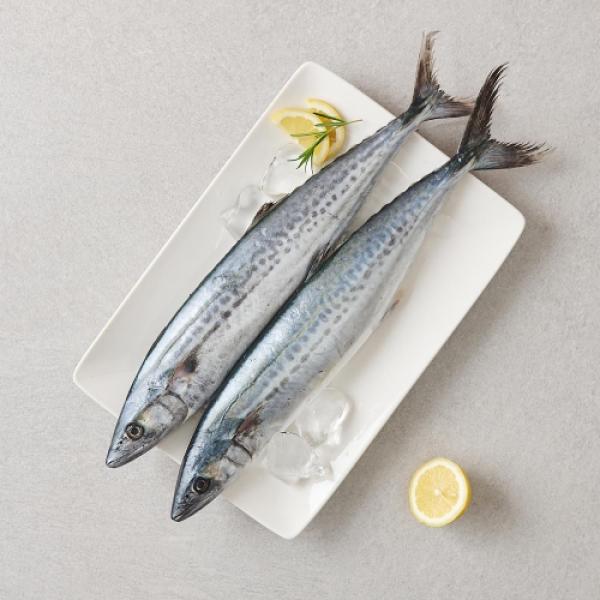 하얀 접시에 레몬과 함께 올려져있는 삼치 두마리
