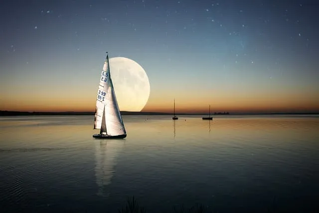 똥 싸는 꿈 사진