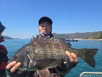 압해도 장감리 감성돔 포인트 소개와 혼자하는 낚시의 즐거움 완벽 낚시 가이드_7