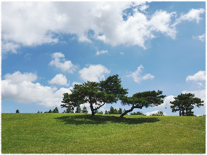 화랑의언덕