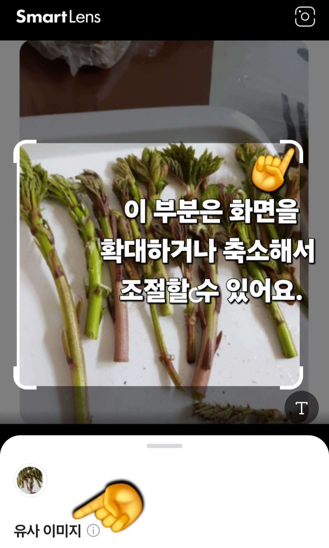 꽃이름-검색-어플-&amp;-꽃검색-하는법-안내-스마트렌즈가-활성화되면-식물(꽃,-풀)을-인식하는-네모-표시가-나타납니다.-이때-화면을-확대하거나-축소하면서-범위를-조절할-수-있는데요.-궁금한-식물이나-꽃,-풀을-크게-확대해서-정확히-인식되도록-활용해-보세요.