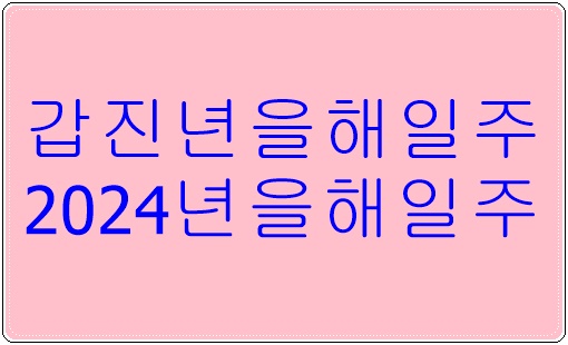 갑진년을해일주