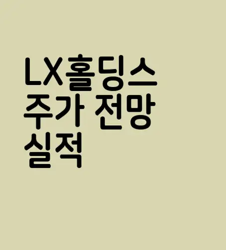 LX홀딩스