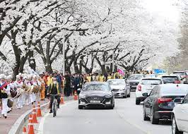 2024 충주호 벚꽃축제 기본정보 및 프로그램 소개