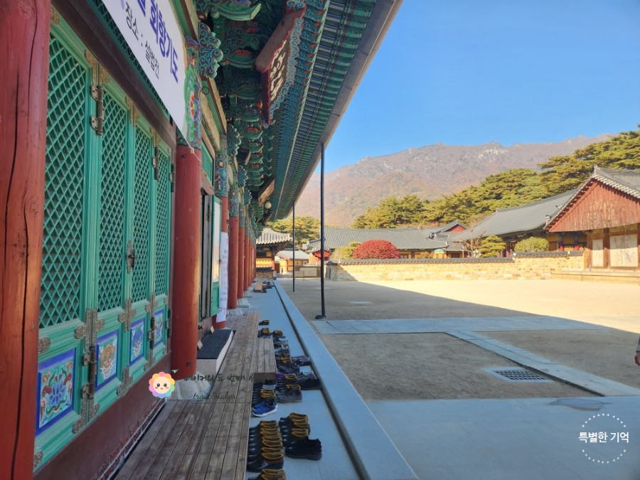 울산 경남 단풍 명소 2026