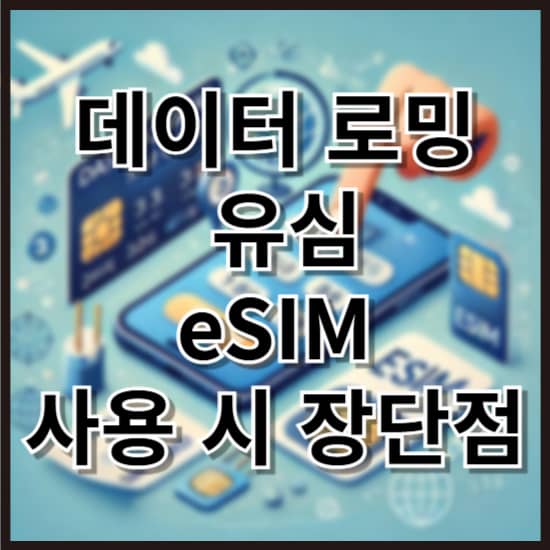 해외에서 데이터 로밍, 유심, eSIM 사용 시 장단점