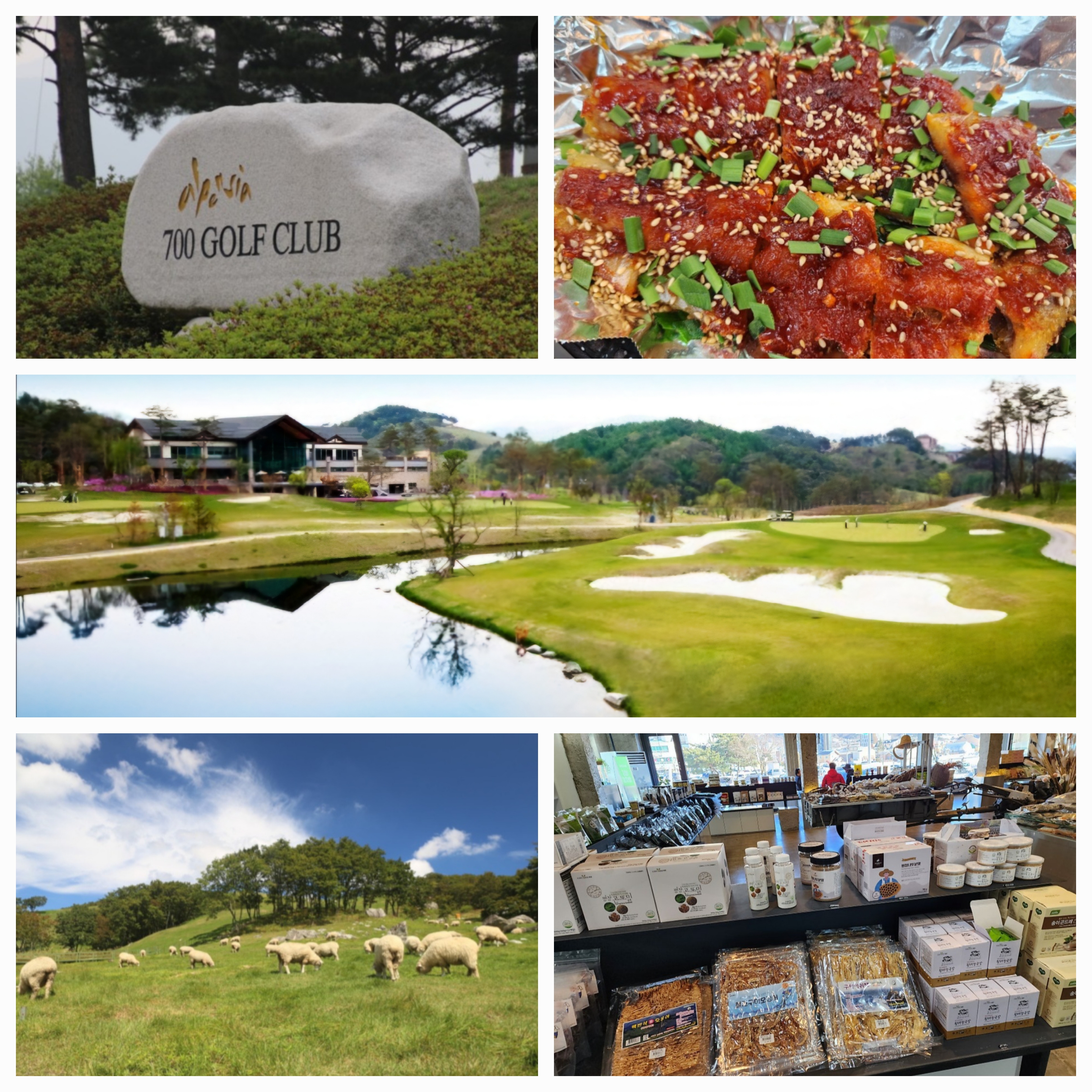 강원 알펜시아 700CC,황태회관 식당,양떼목장,바우파머스마켓 사진 모음