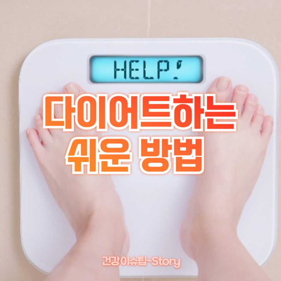 다이어트하는 쉬운 방법