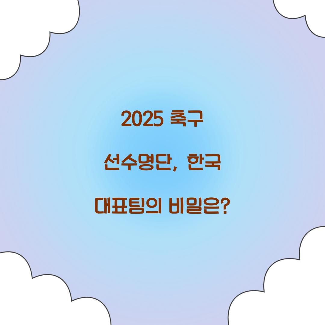 2025 축구 선수명단