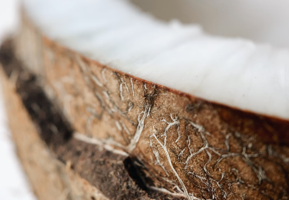 코코넛오일 효능 : 피부건강